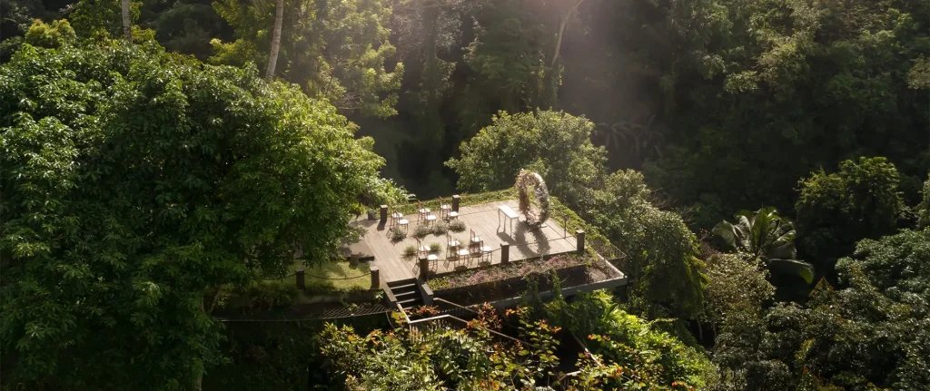 wedding forest in bali