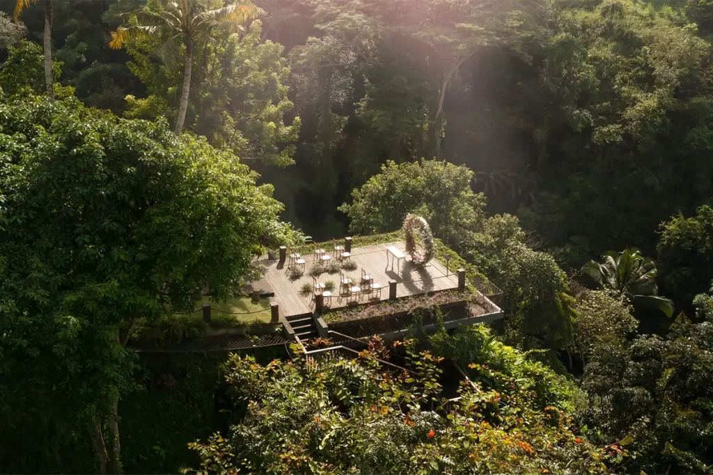 Forest Wedding