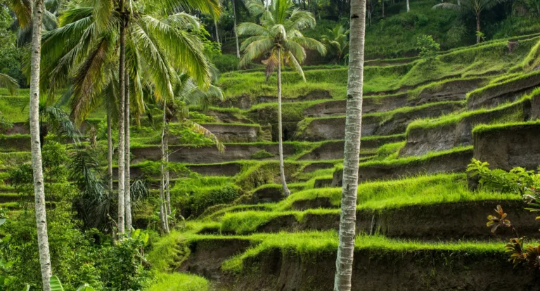 bali wedding proposal venue